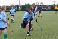 Action Shots - Mixed